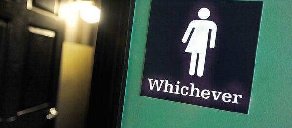 Туалет в США - Sputnik Беларусь