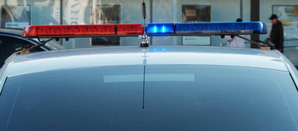 Автомобиль полиции, архивное фото - Sputnik Беларусь