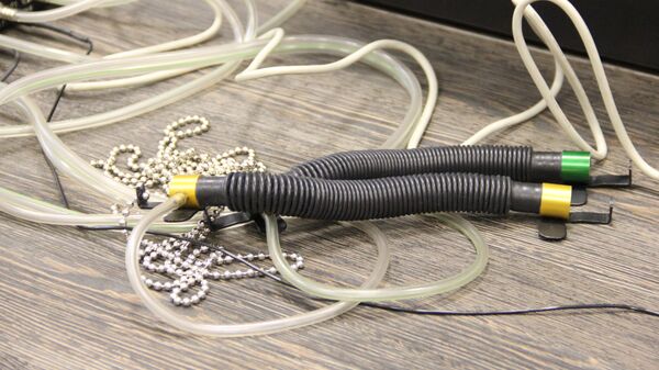 Элементы паліграфа, архіўнае фота - Sputnik Беларусь