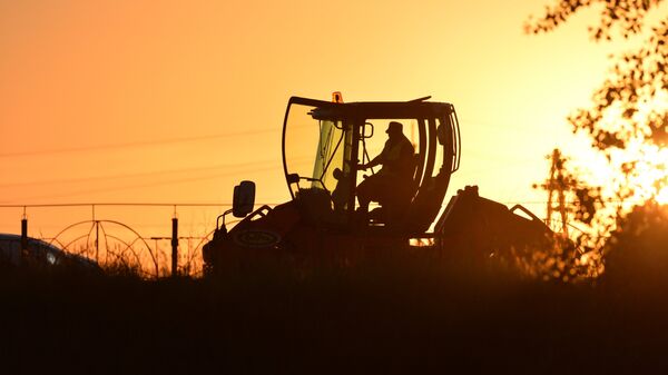Ремонт дорог, архивное фото - Sputnik Беларусь
