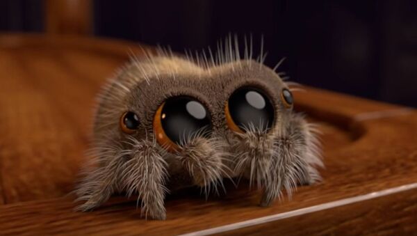 Американский аниматор нарисовал самого милого в мире паука - Sputnik Беларусь