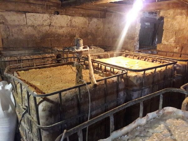 Производство браги - Sputnik Беларусь