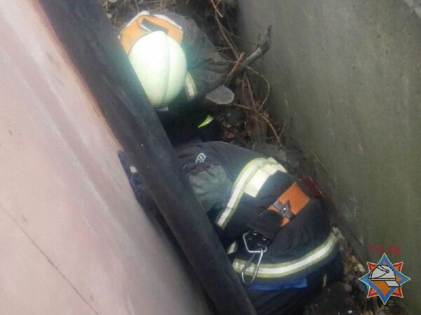 Сотрудники МЧС спасают щенка в Минске - Sputnik Беларусь