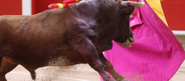 Коррида в Барселоне. Арена Монументаль Коррида в Барселоне. Арена Монументаль - Sputnik Беларусь