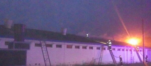 Примерно 2 тысячи птенцов погибло в результате пожара - Sputnik Беларусь