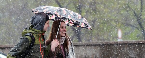 Мінакі падчас снегападу Мінакі падчас снегападу - Sputnik Беларусь