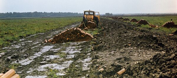 Мелиоративные работы Мелиоративные работы - Sputnik Беларусь