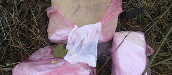 Контрабандное сало Контрабандное сало - Sputnik Беларусь