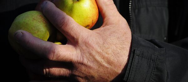 Фермер с яблоками Фермер с яблоками - Sputnik Беларусь