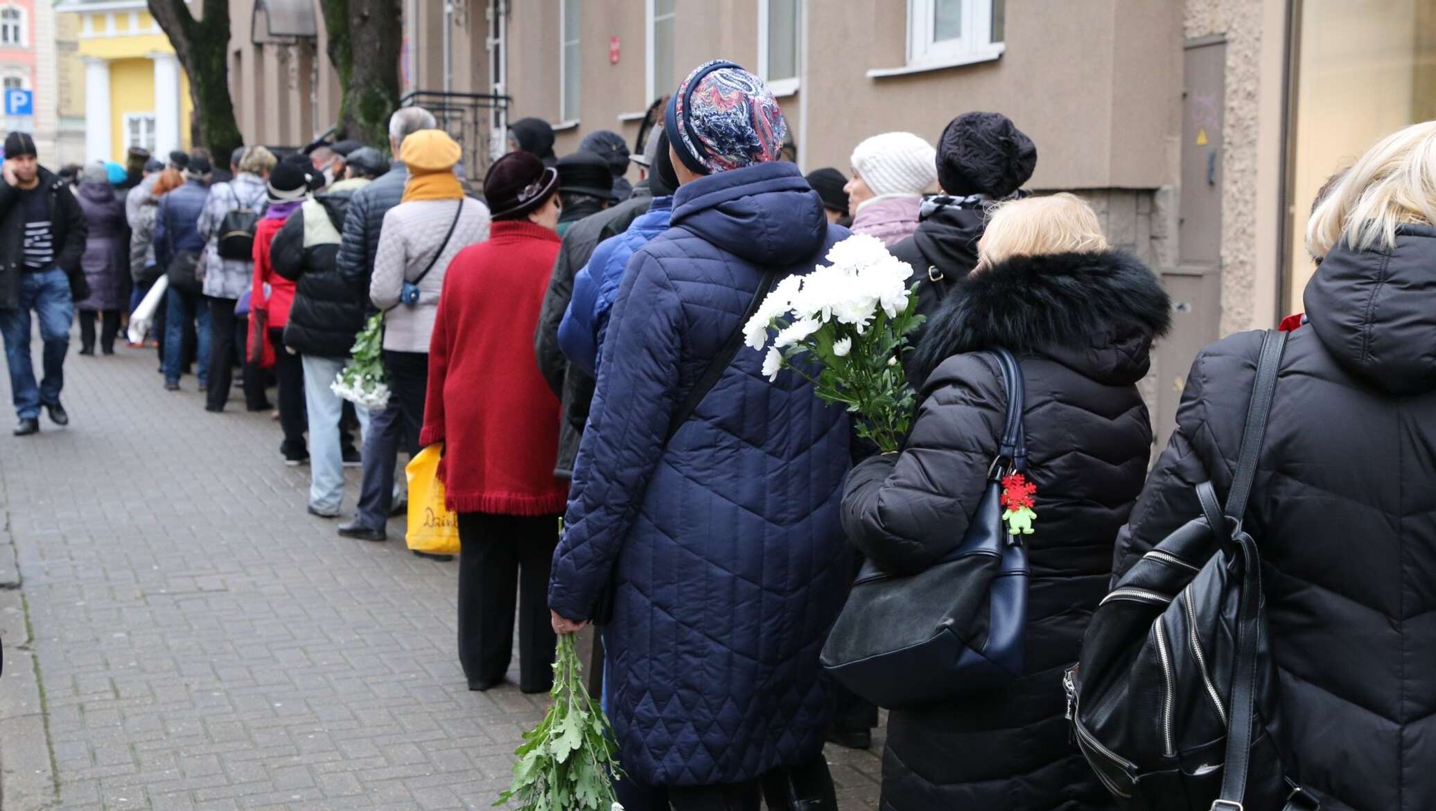 Библиотека задорнова в риге фото