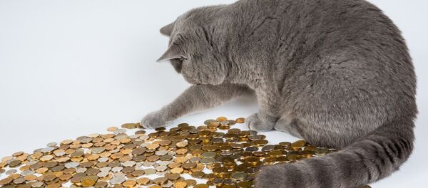 Жирный кот - Sputnik Беларусь