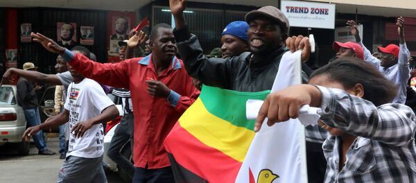 Марш против Мугабе проходит в столице Зимбабве - Sputnik Беларусь