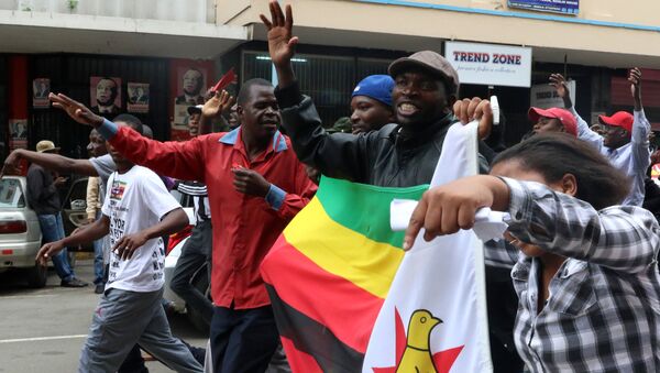 Марш против Мугабе проходит в столице Зимбабве - Sputnik Беларусь