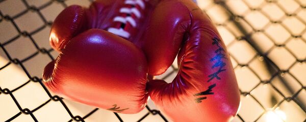 Боксерские перчатки, архивное фото Боксерские перчатки, архивное фото - Sputnik Беларусь