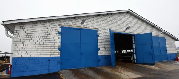 Хозяйство Буда-Кошелевского района Морозовичи-Агро - Sputnik Беларусь