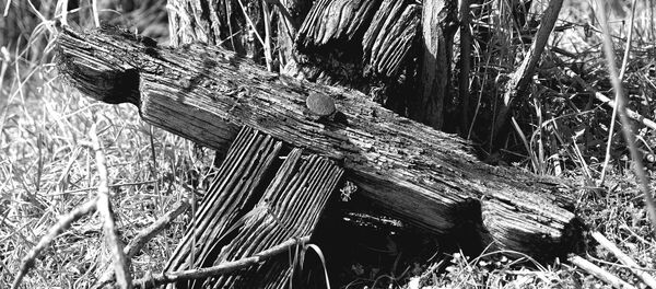 Крест на могиле, архивное фото - Sputnik Беларусь