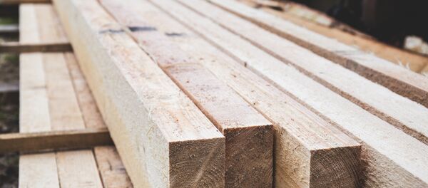 Доски Доски - Sputnik Беларусь