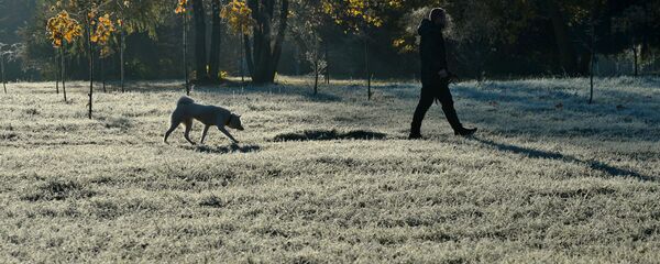 Замаразкі чакаюцца ў Беларусі ў панядзелак 23 верасня Замаразкі чакаюцца ў Беларусі ў панядзелак 23 верасня - Sputnik Беларусь