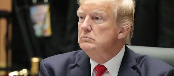 Президент США Дональд Трамп, архивное фото Президент США Дональд Трамп, архивное фото - Sputnik Беларусь