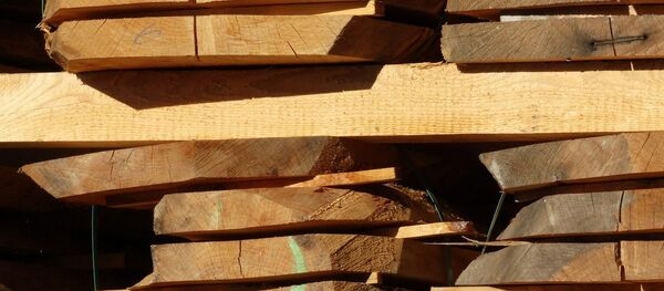 Доски, архивное фото Доски, архивное фото - Sputnik Беларусь