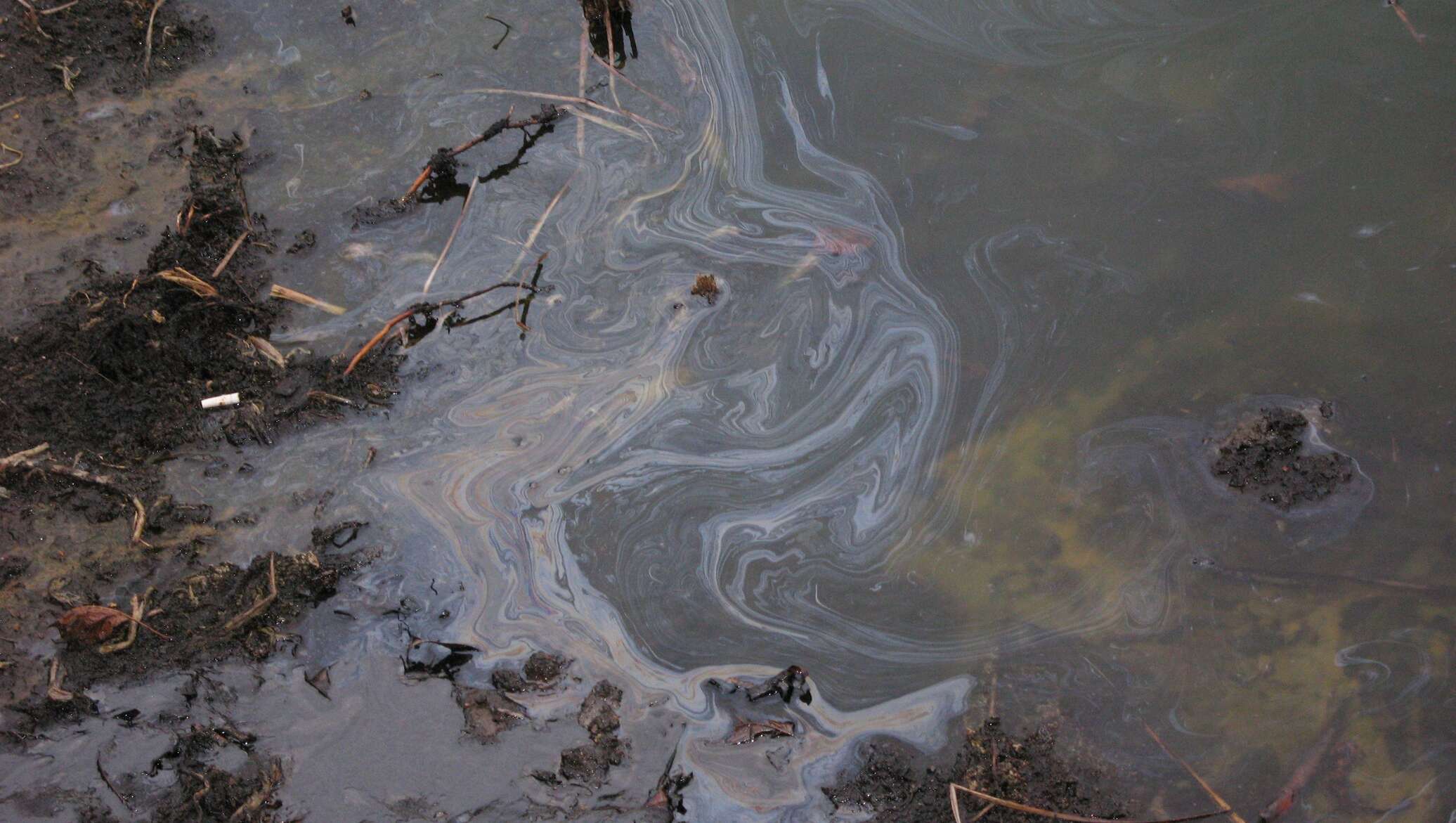 Вода воняет рыбой. Северная Двина река загрязнение. Река Вологда загрязненная нефтепродуктами. Разлив нефтепродуктов Северная Двина. Грязный водоем.