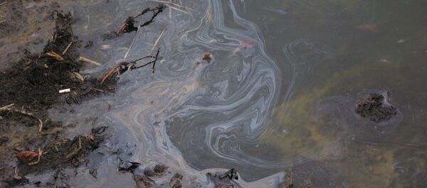 Разлив нефтепродуктов - Sputnik Беларусь
