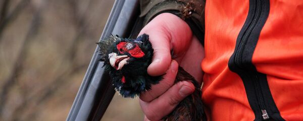 Как бы не хвалили свое хобби сами охотники, нельзя отрицать, что в нем есть элемент жестокости - Sputnik Беларусь