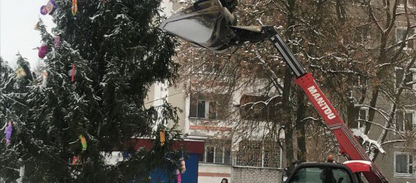 Елка в Могилеве - Sputnik Беларусь