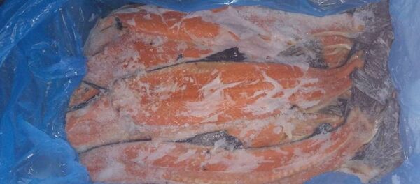 Изъятая рыба - Sputnik Беларусь