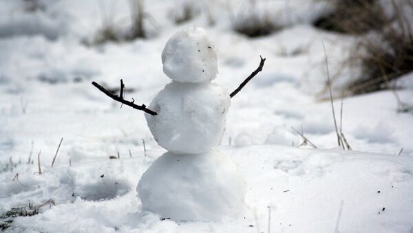 Декабрьский снеговик, архивное фото - Sputnik Беларусь