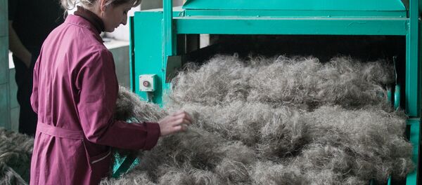 Переработка льна - Sputnik Беларусь