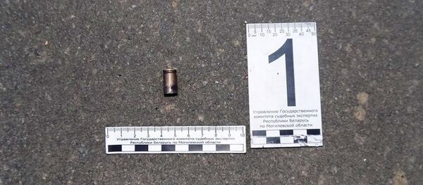 Гильза на месте преступления Гильза на месте преступления - Sputnik Беларусь