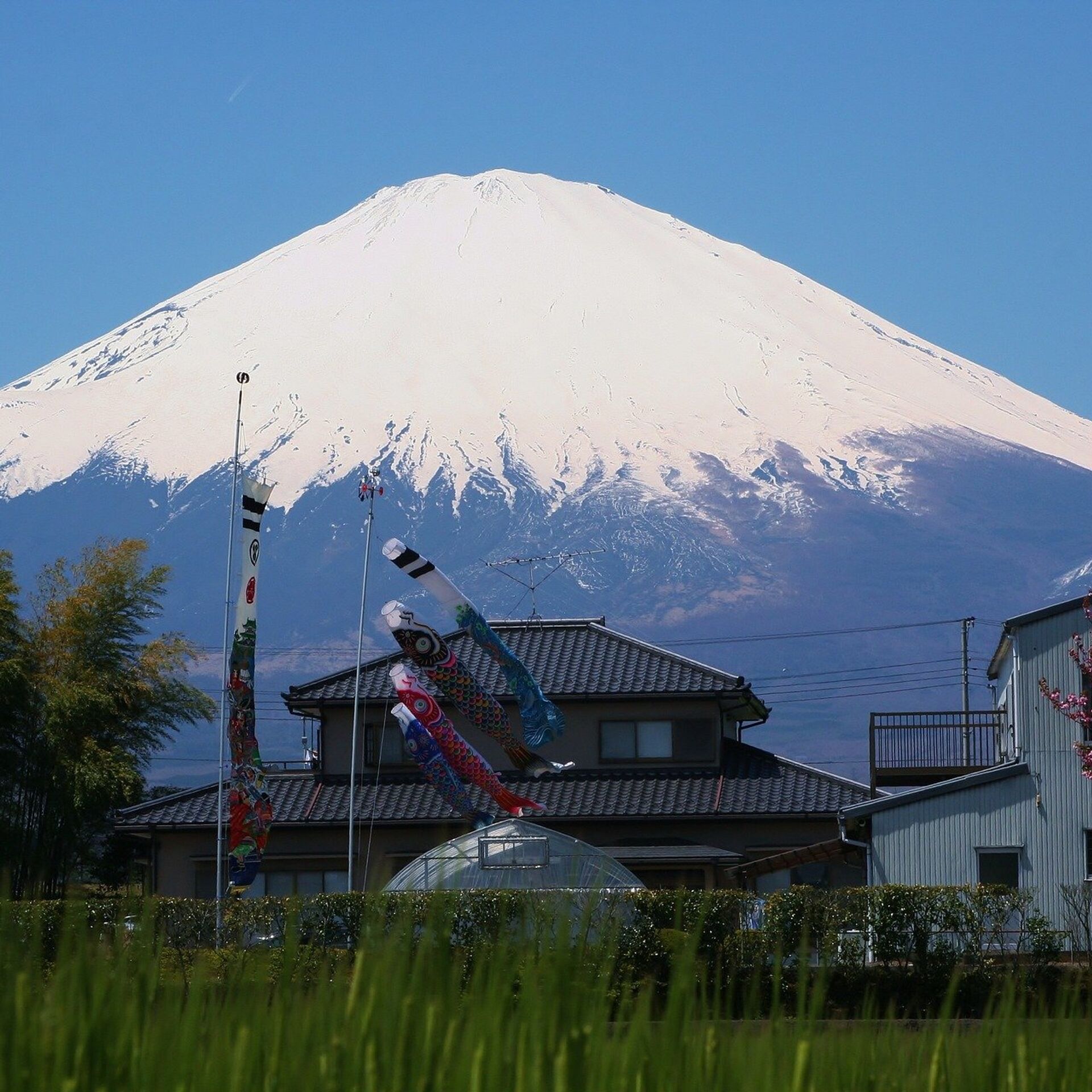 Фудзияма нагаева. Гора Фудзияма. Фудзияма вулкан восхождение. Гора Фудзи в Японии. Фудзияма Чебоксары.