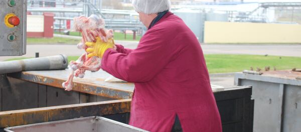 Кости отправляют в один контейнер, а рога и копыта – в другой - Sputnik Беларусь