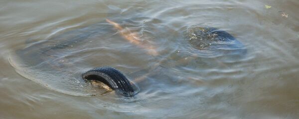 Автомобиль под водой, архивное фото - Sputnik Беларусь