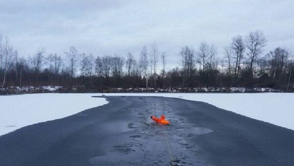 Спасатели помогли лебедю, вмерзшему в лед - Sputnik Беларусь