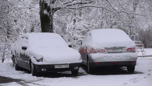 Машины, покрытые снегом, архивное фото - Sputnik Беларусь
