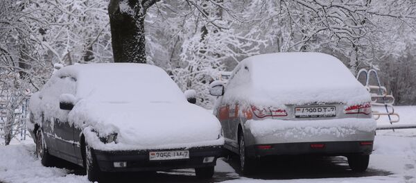 Машины, покрытые снегом, архивное фото Машины, покрытые снегом, архивное фото - Sputnik Беларусь