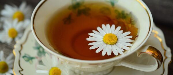 Рамонкавы чай, архіўны фотаздымак - Sputnik Беларусь