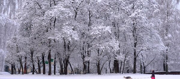 Заснеженный Минск - Sputnik Беларусь