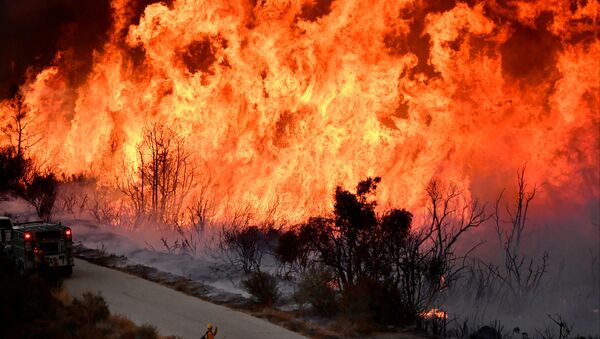 Природные пожары в Калифорнии - Sputnik Беларусь
