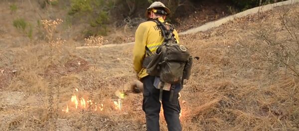 Тушение пожаров в Калифорнии - Sputnik Беларусь