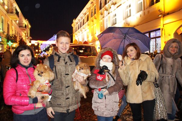 Пес-карнавал собрал около сотни собак разных пород и размеров - Sputnik Беларусь