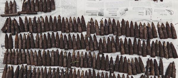 Обнаруженные патроны - Sputnik Беларусь