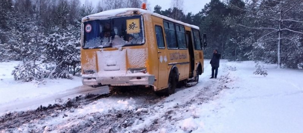 В Петриковском районе спасатели вытащили застрявший в снегу школьный автобус - Sputnik Беларусь