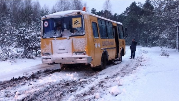В Петриковском районе спасатели вытащили застрявший в снегу школьный автобус - Sputnik Беларусь