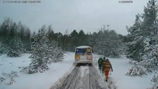 Школьный автобус застрял в снегу в Петриковском районе (видео) - Sputnik Беларусь