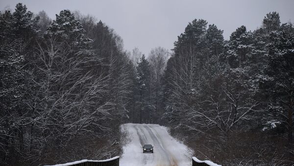 Дорога в зимнем лесу, архивное фото - Sputnik Беларусь