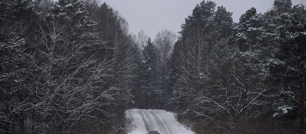 Дорога в зимнем лесу, архивное фото - Sputnik Беларусь