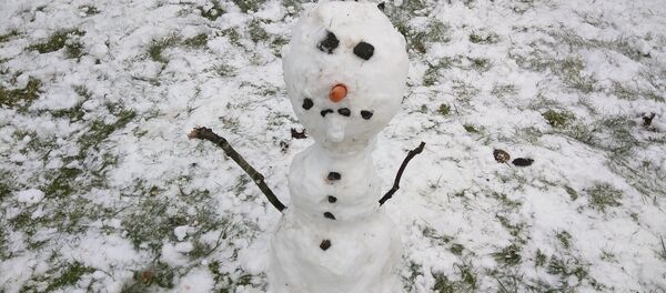 Снеговик Снеговик - Sputnik Беларусь